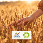 Mondelez’s Harmony Strikes a New Chord Agriculture, corporate responsibility., Food Industry, Harmony, Mondelēz, Sustainability, Wheat Food and Beverage Business