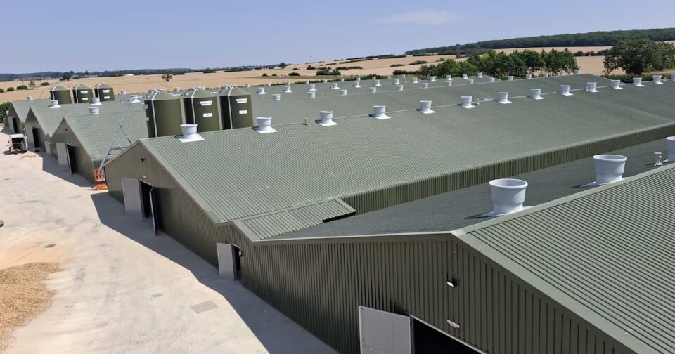 Pilgrim’s Europe Completes £6M Upgrade at UK Poultry Farm unique Food and Beverage Business