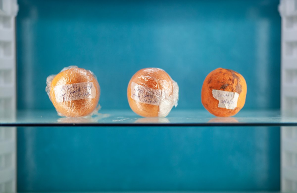 Singapore Food Waste Startup Raises A$2.4m to Extend Fresh Produce Shelf Life Fourfold Flexible packaging, food and drink packaging, food and drink sustainable packaging, Food packaging, Resource Efficiency Food and Beverage Business