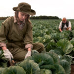 Government to Support English Organic Farming Amid Growing Supply Chain Concerns Food and Beverage Business