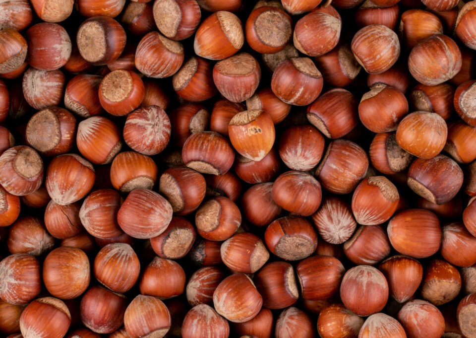 Unigrains Invests in Hazelnut Supplier Unicoque Food Industry, hazelnuts, investment, Nuts, Supplier, Unicoque, Unigrains Food and Beverage Business