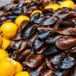 Shellfish Harvesting Suspended in Key U.S. State Amid Salmonella Outbreak 3d, abdominal pain, background, Bacteria, bacterial, cell, clinical, contagious, diagnosis, Disease, Foodborne Illness, gastrointestinal, health, health care, healthcare, Human, Immune, infection, infectious, medical, microbe, microorganism, probiotics, Sick, sickness, viral, viral gastroenteritis, viruses, vomiting Food and Beverage Business