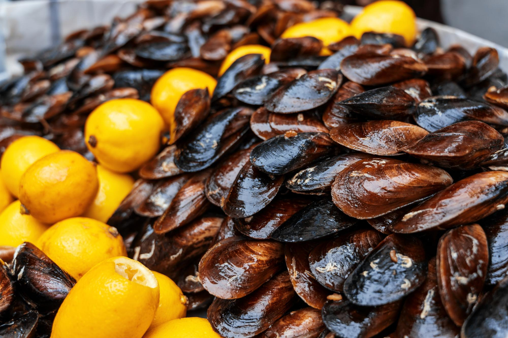 Shellfish Harvesting Suspended in Key U.S. State Amid Salmonella Outbreak 3d, abdominal pain, background, Bacteria, bacterial, cell, clinical, contagious, diagnosis, Disease, Foodborne Illness, gastrointestinal, health, health care, healthcare, Human, Immune, infection, infectious, medical, microbe, microorganism, probiotics, Sick, sickness, viral, viral gastroenteritis, viruses, vomiting Food and Beverage Business