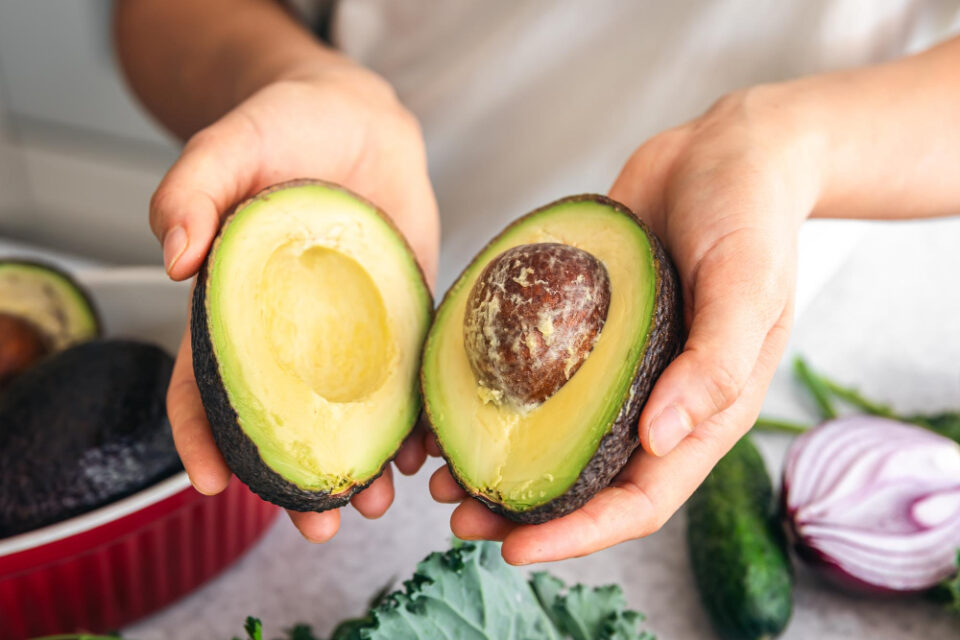 Westfalia Fruit Unveils Updated Sustainability Strategy Agriculture, climate action, corporate responsibility., Environmental Sustainability, ESG, Food Industry, Sustainability, Sustainability Strategy, Sustainable agriculture, Westfalia Fruit Food and Beverage Business