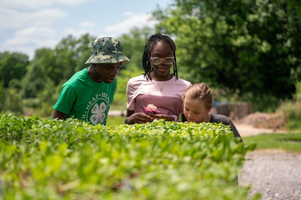 Mars Invests $3 Million to Build the Future Food and Science Workforce $3M investment, corporate investment, Food Industry, Food science, future workforce, Mars, science education, STEM, talent development, Workforce Development Food and Beverage Business